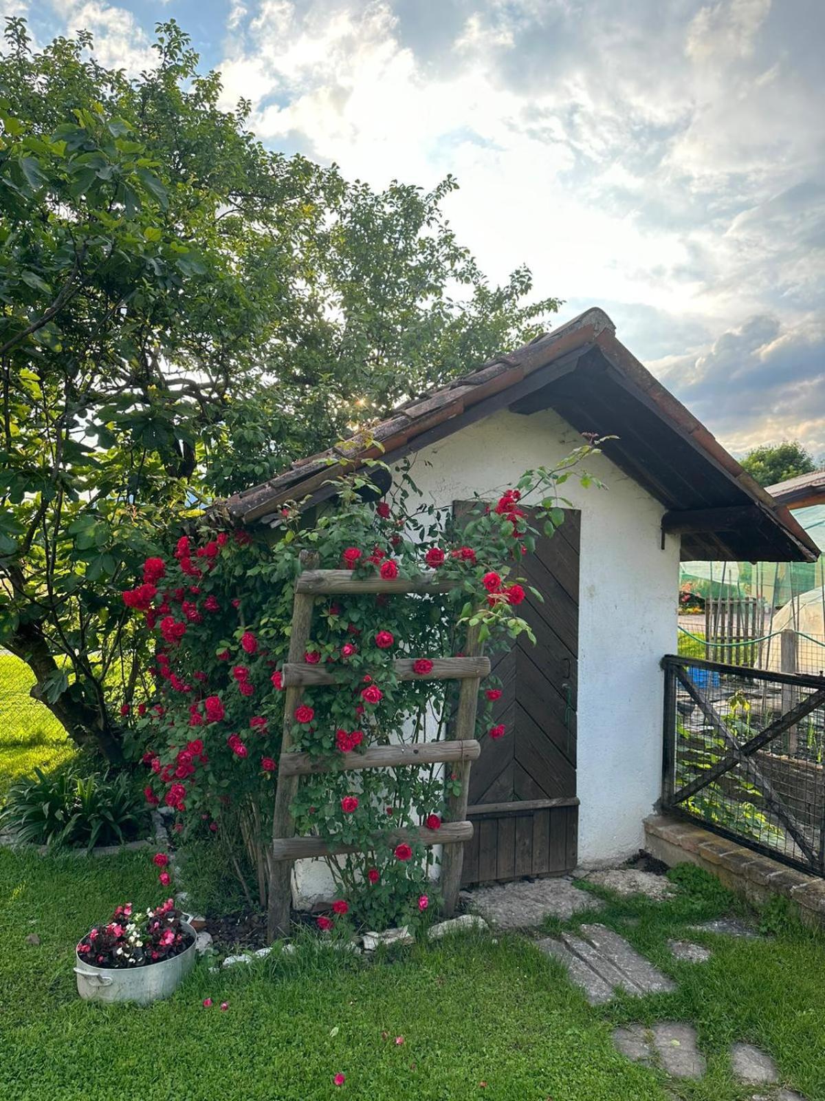 Casa Giovannella Feltre Exterior foto